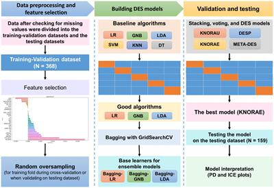 Prediction of posttraumatic functional recovery in middle-aged and older patients through dynamic ensemble selection modeling